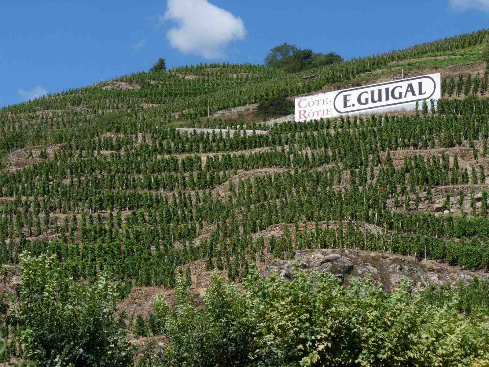 cote_rotie_guigal.jpg cote_rotie_guigal.jpg