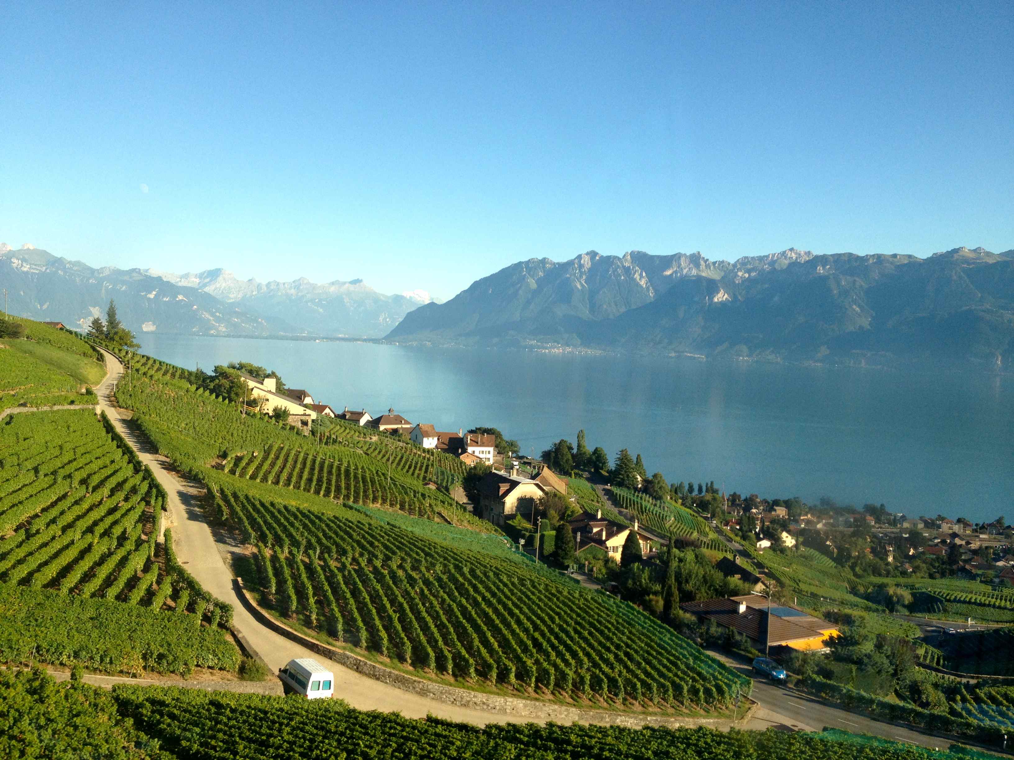 lavaux_cff.jpg lavaux_cff.jpg