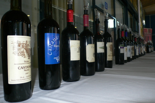 site_merlot97.jpg site_merlot97.jpg