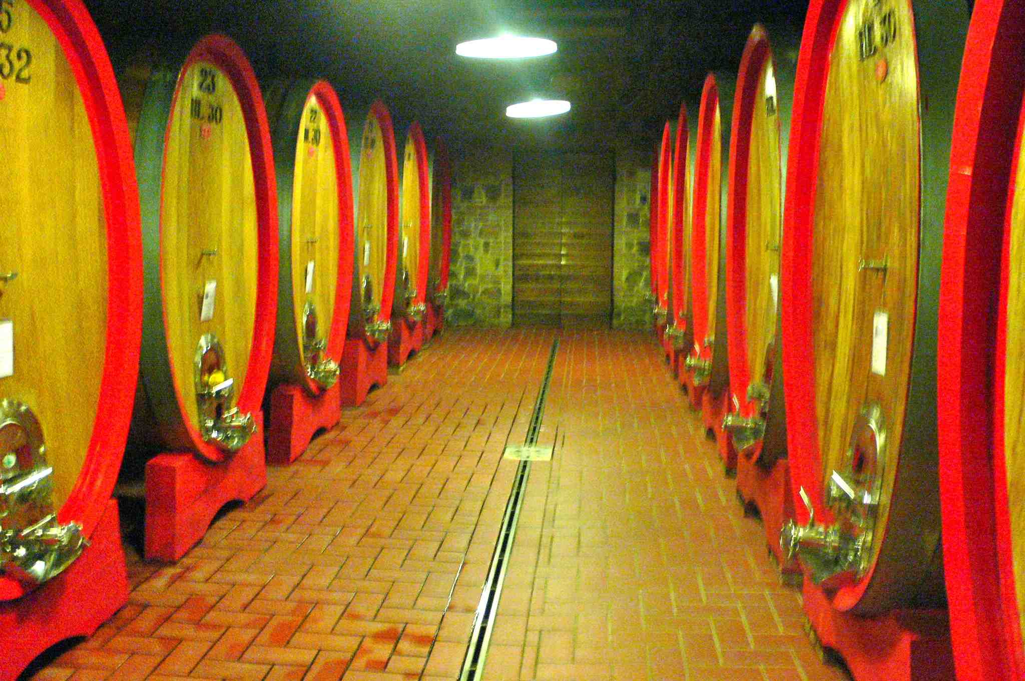 site_tos_poggiodisottocavejpg.jpg site_tos_poggiodisottocavejpg.jpg