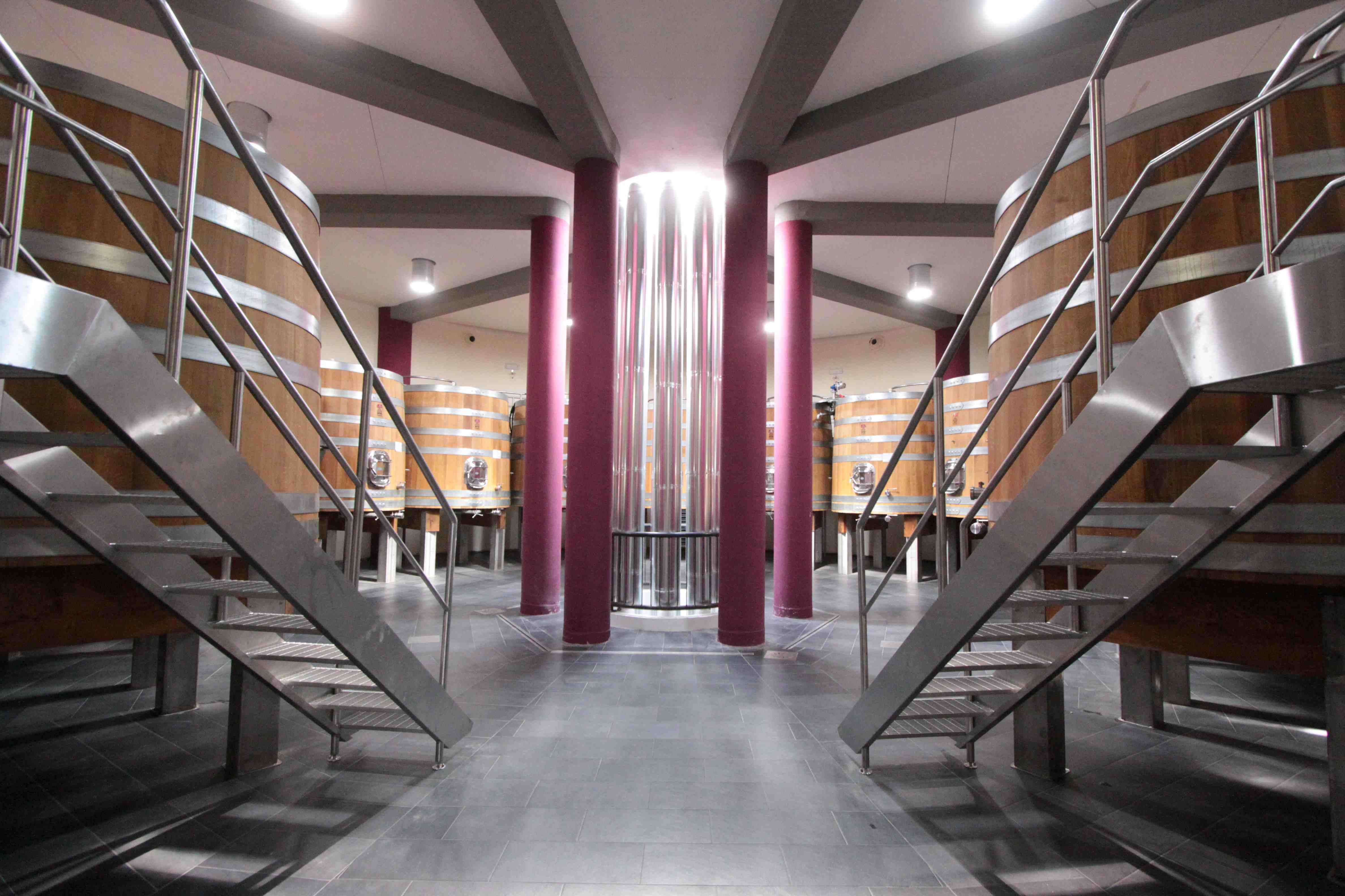 site_tos_salchetto.jpg site_tos_salchetto.jpg