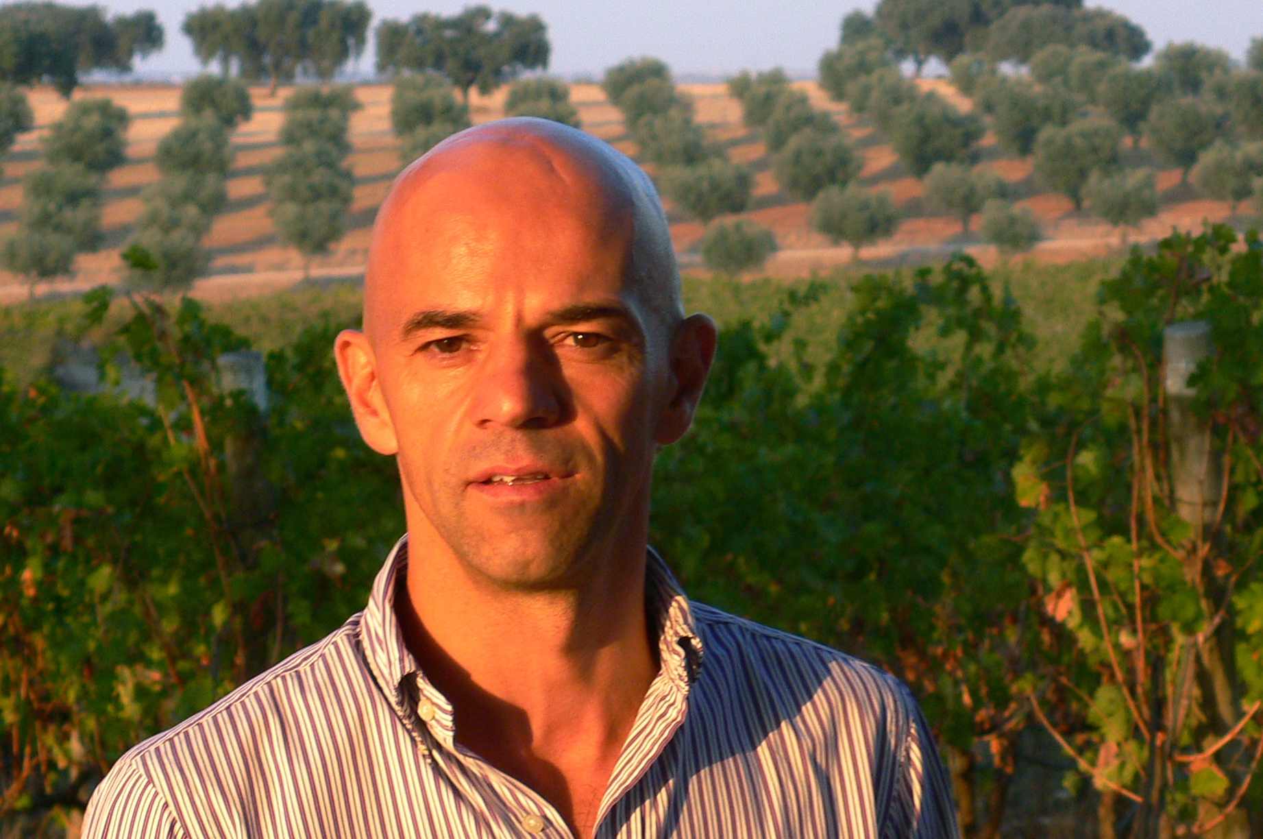 edip_soares.jpg edip_soares.jpg