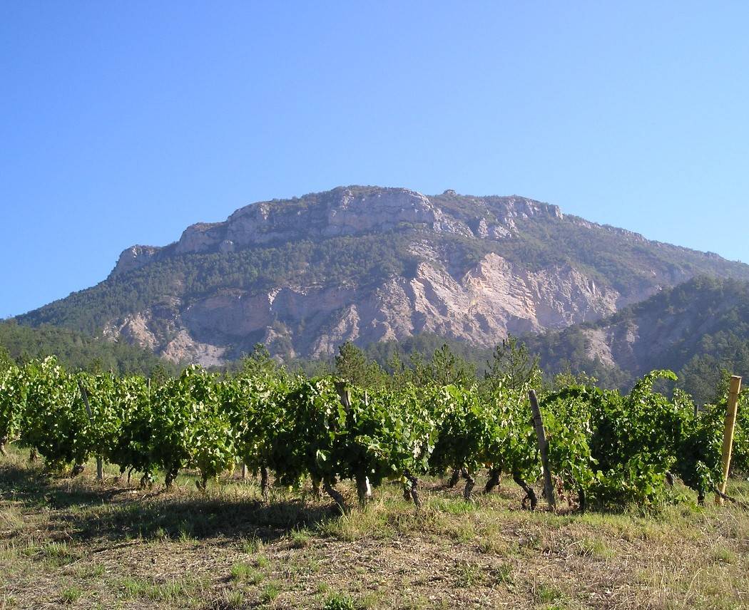 site_clairet1.jpg site_clairet1.jpg