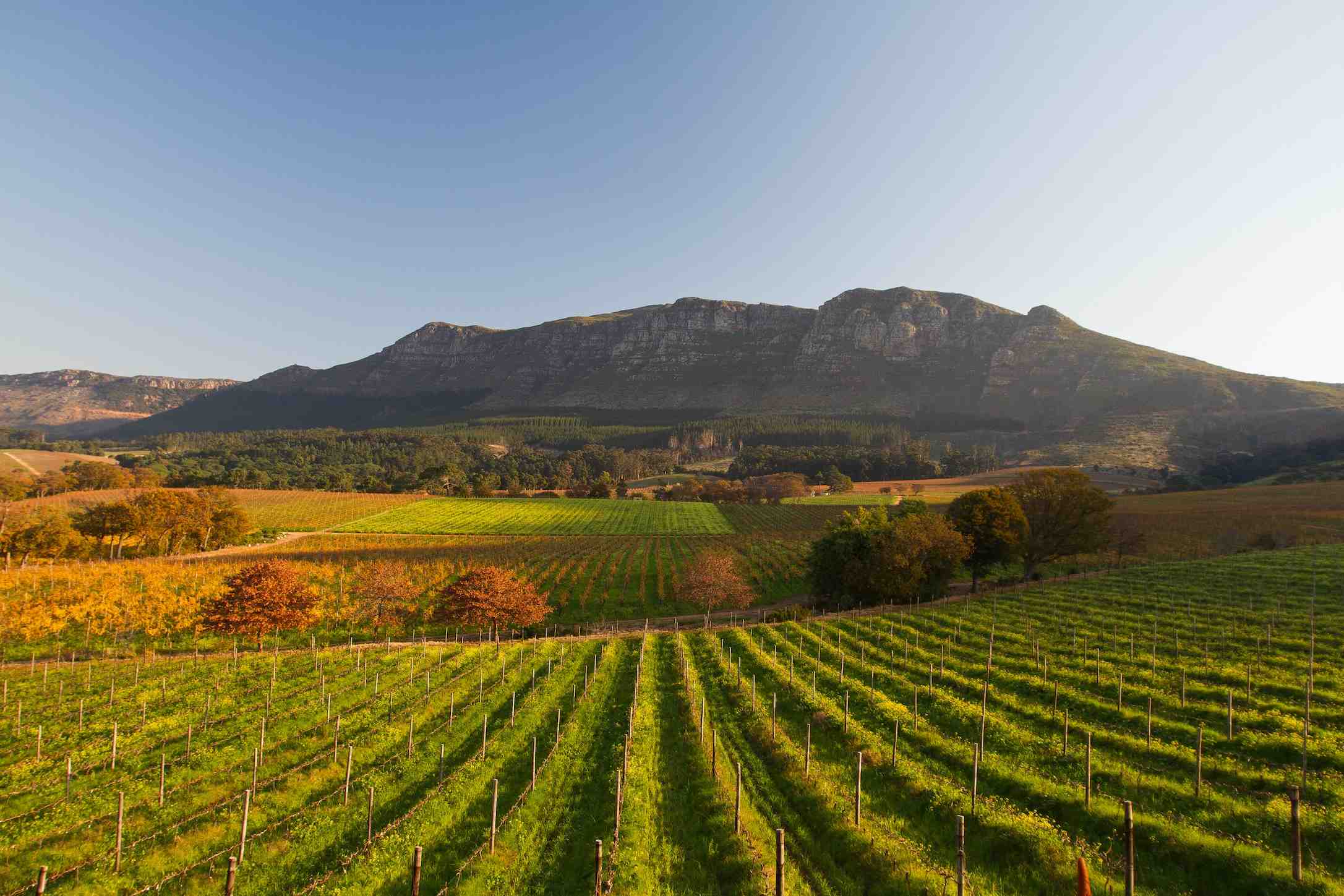 site_kleinconst3.jpg site_kleinconst3.jpg